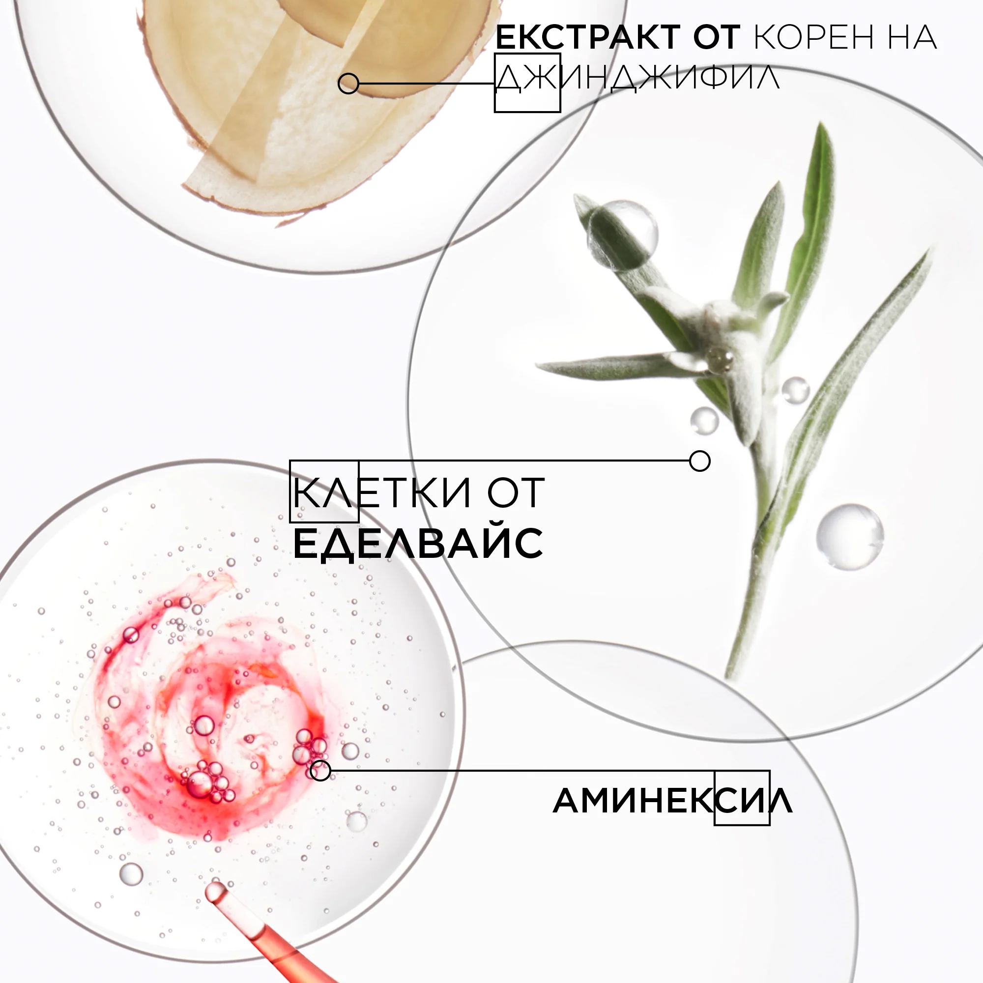 Лимитиран комплект в размер за пътуване - Image 7